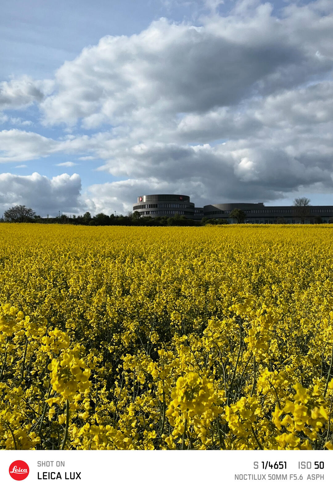 Rape field