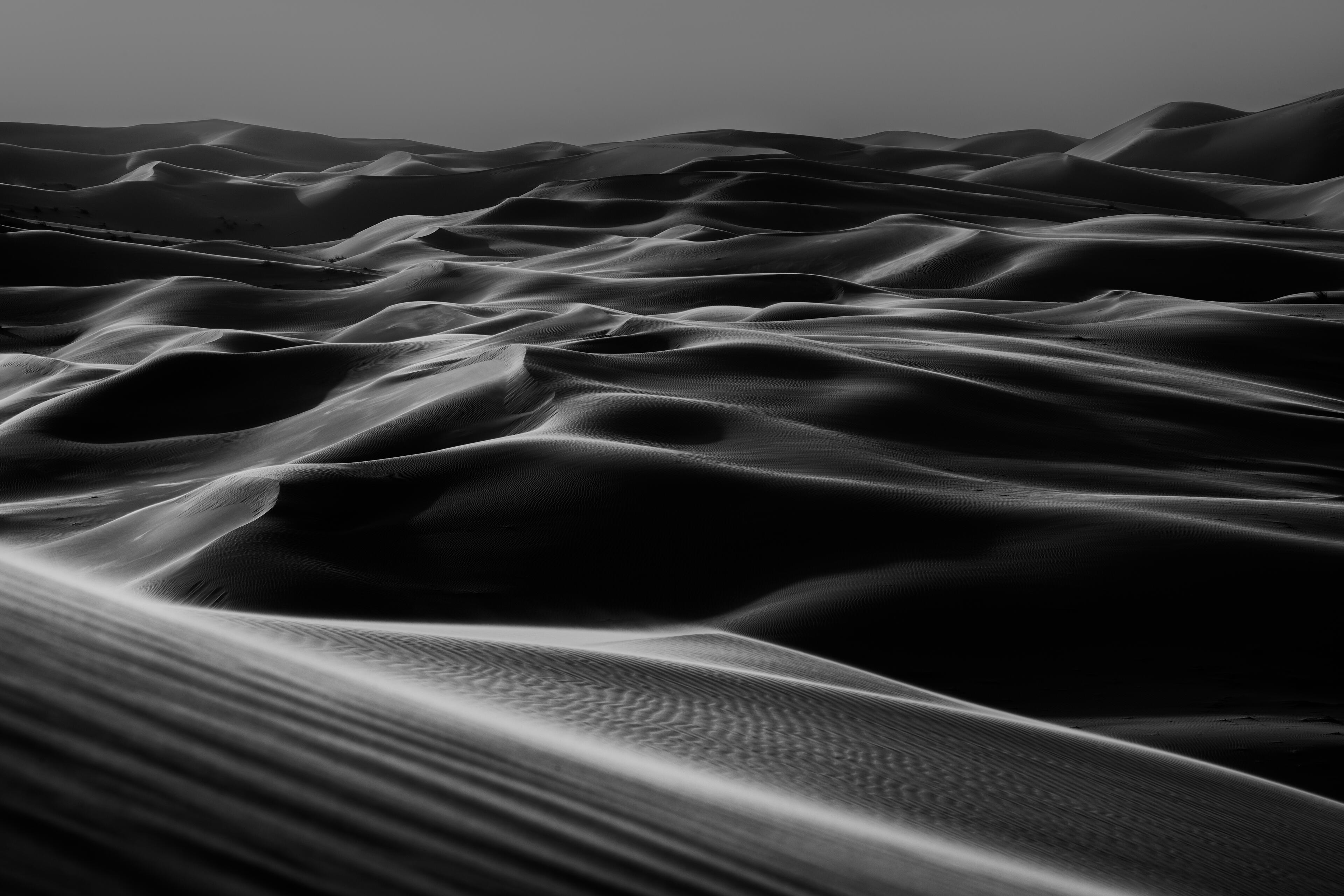 Desert Mono