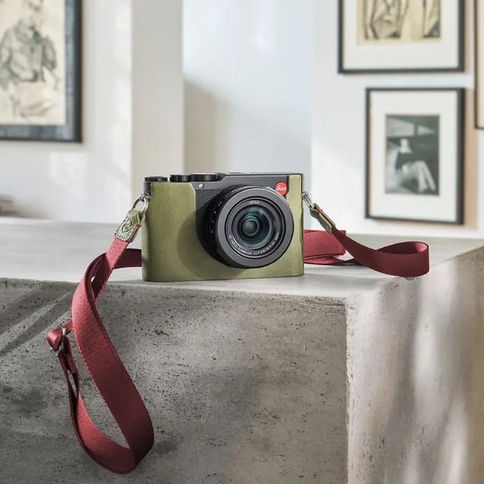 D-Lux 8 with strap