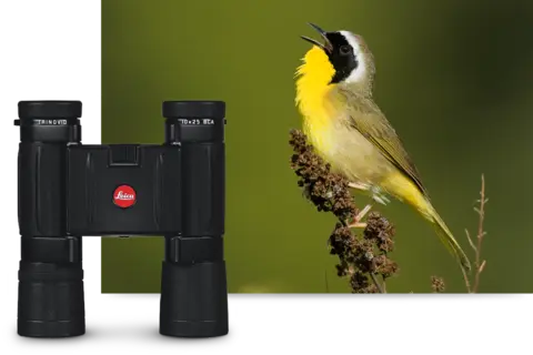 COMPACT-FIELD-OPTICS-2-VIVID-VIEWS