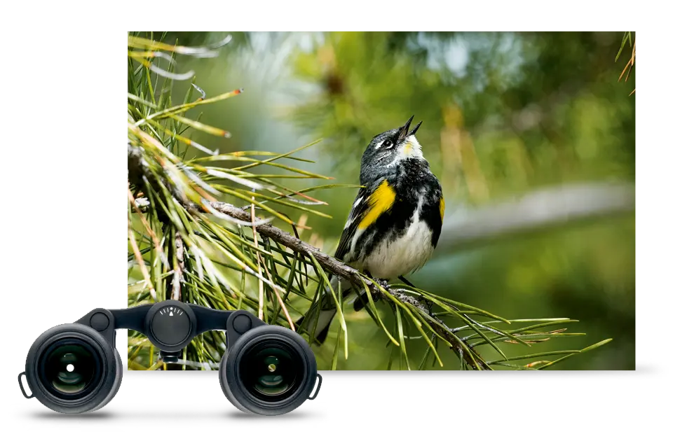 COMPACT-FIELD-OPTICS-ULTRAVID-BLACKLINE-3-THE-SECOND-TO-NONE_teaser-960x640.png