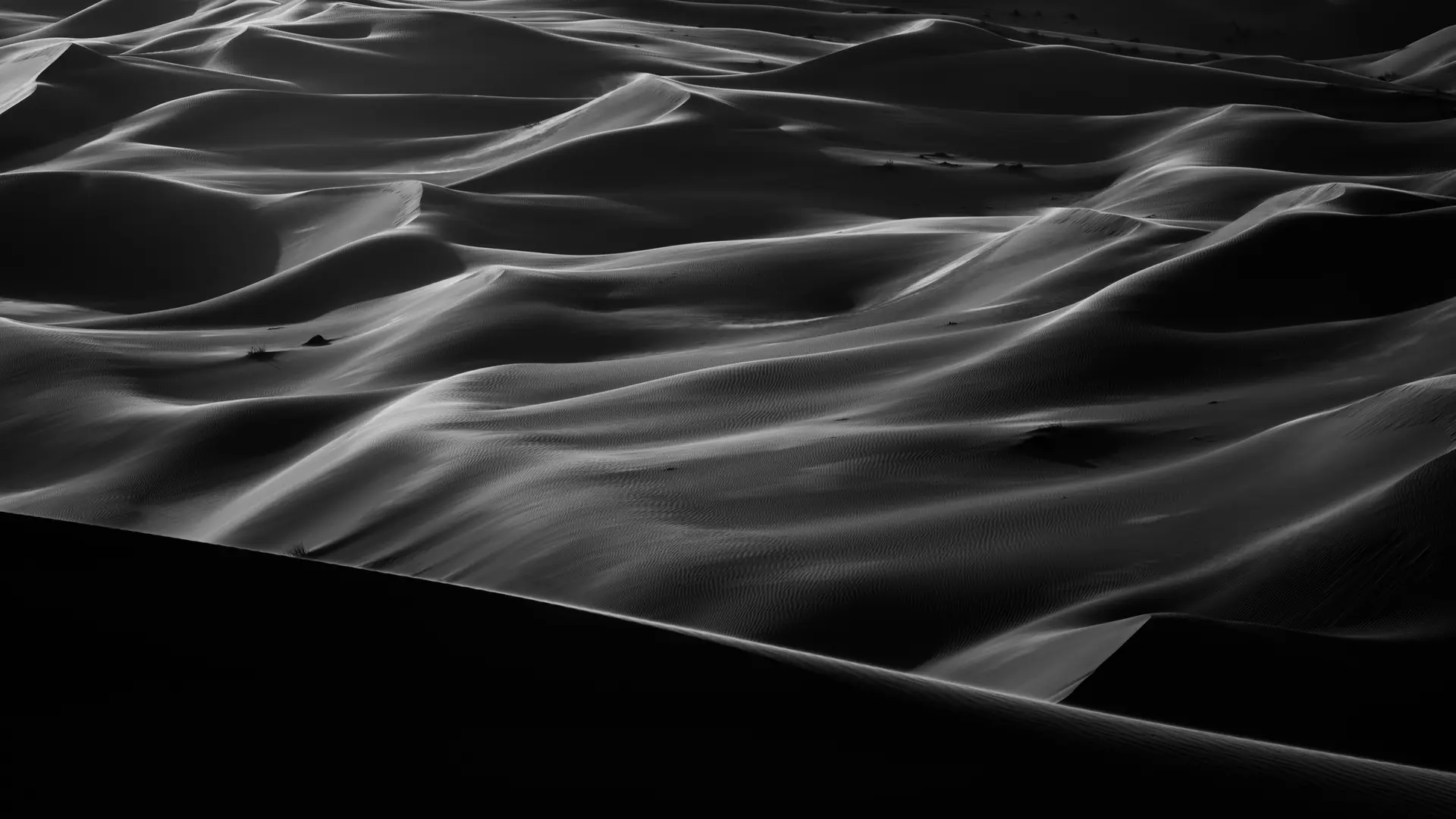 Monochrom Desert