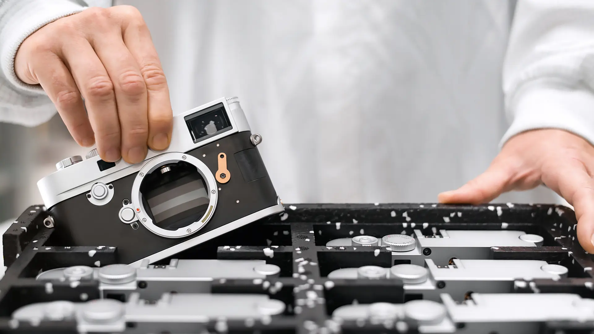 Many Leica M Cameras