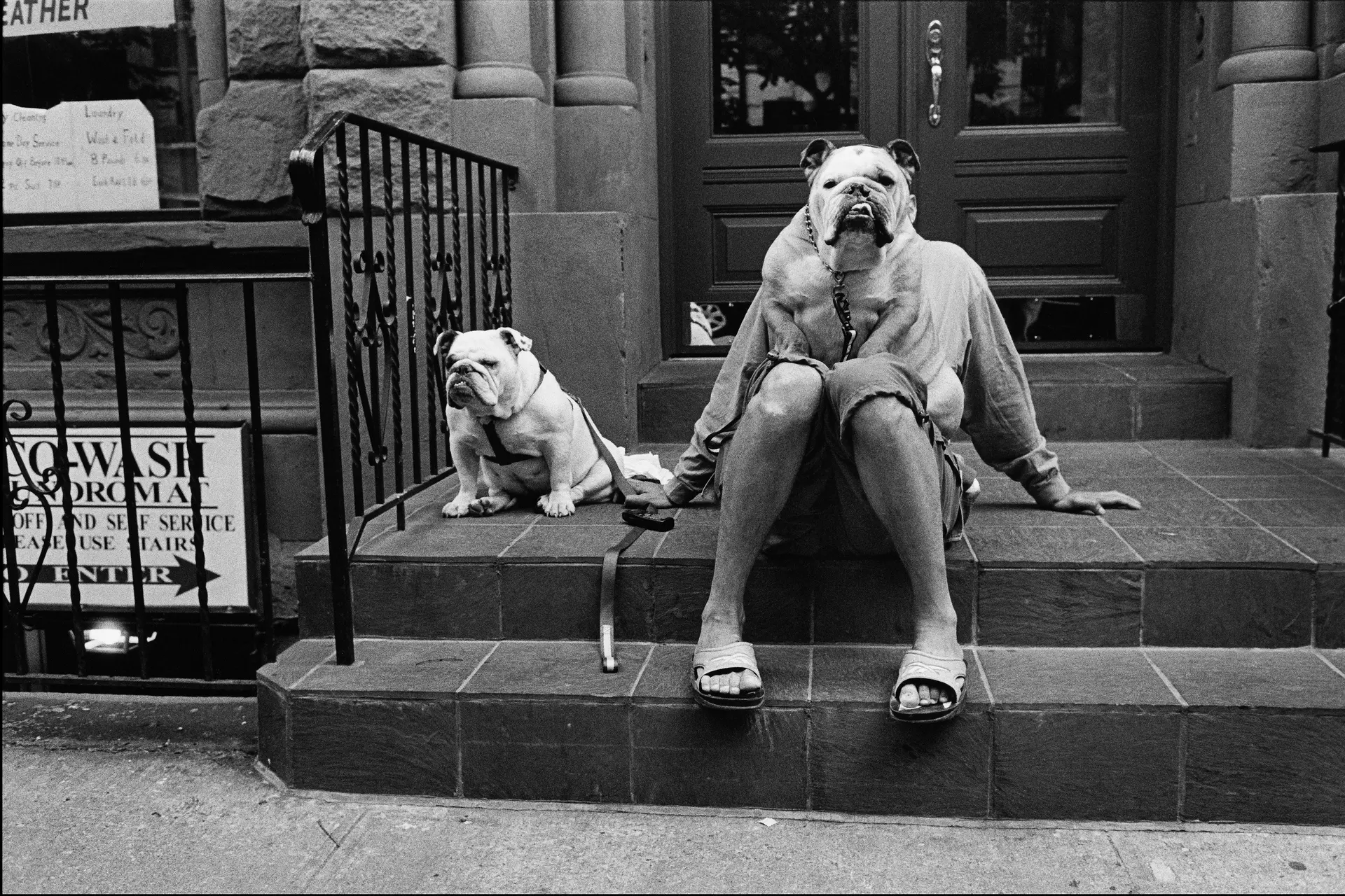 Man with dog head sits with dog on stairs