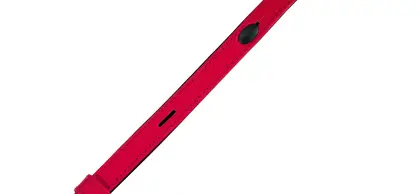 M_Trageriemen_vollrindleder-rot5931160771789.jpg M_Trageriemen_vollrindleder-rot5931160771789.jpg
