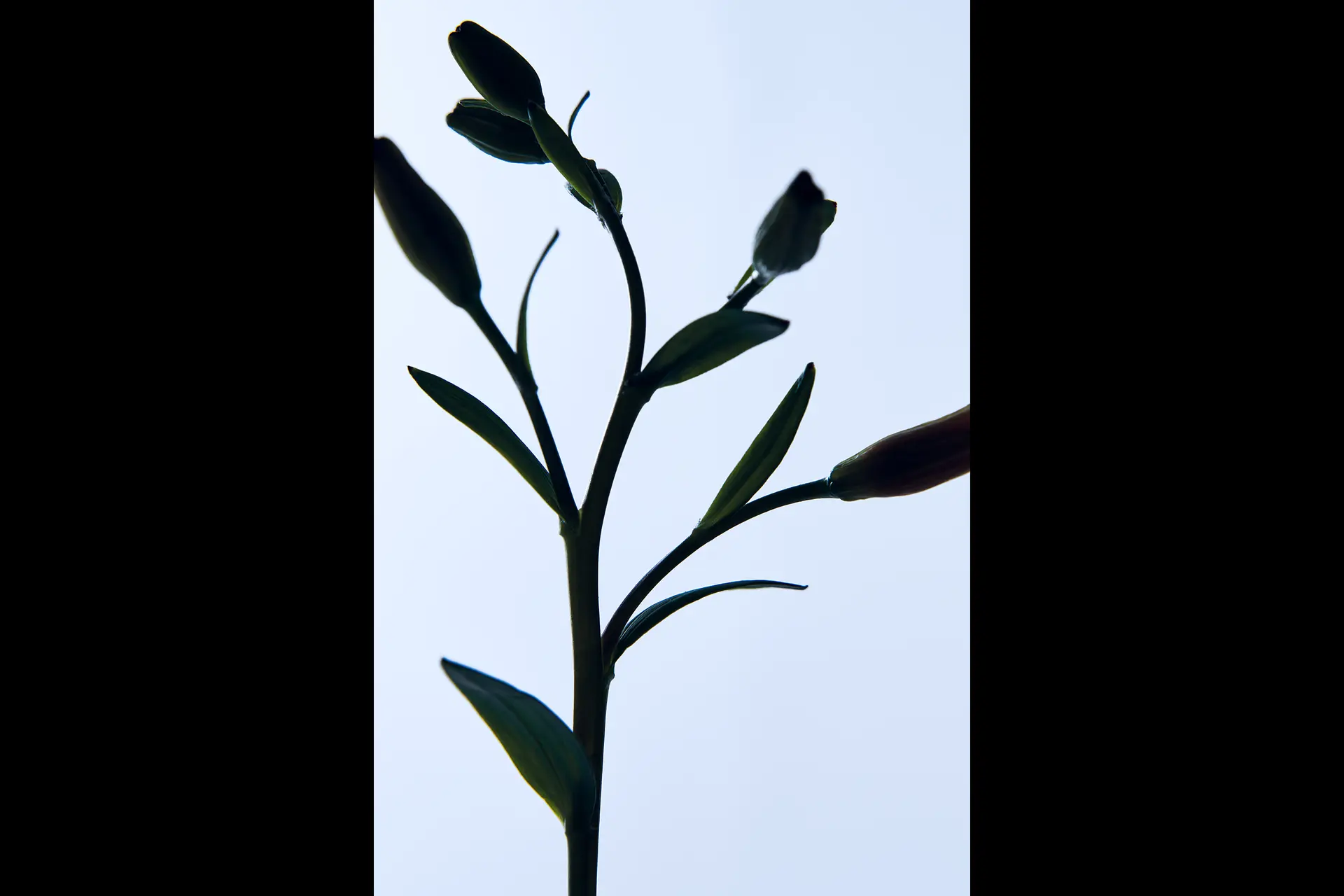 Daisuke Abe captures various shapes with the Leica SL3