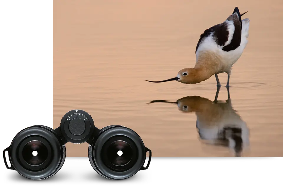 ULTRAVID-HD-1-CRYSTAL-CLEAR-VISION